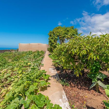 Casa Rural Finca Las Dulces Chio  Ngoại thất bức ảnh