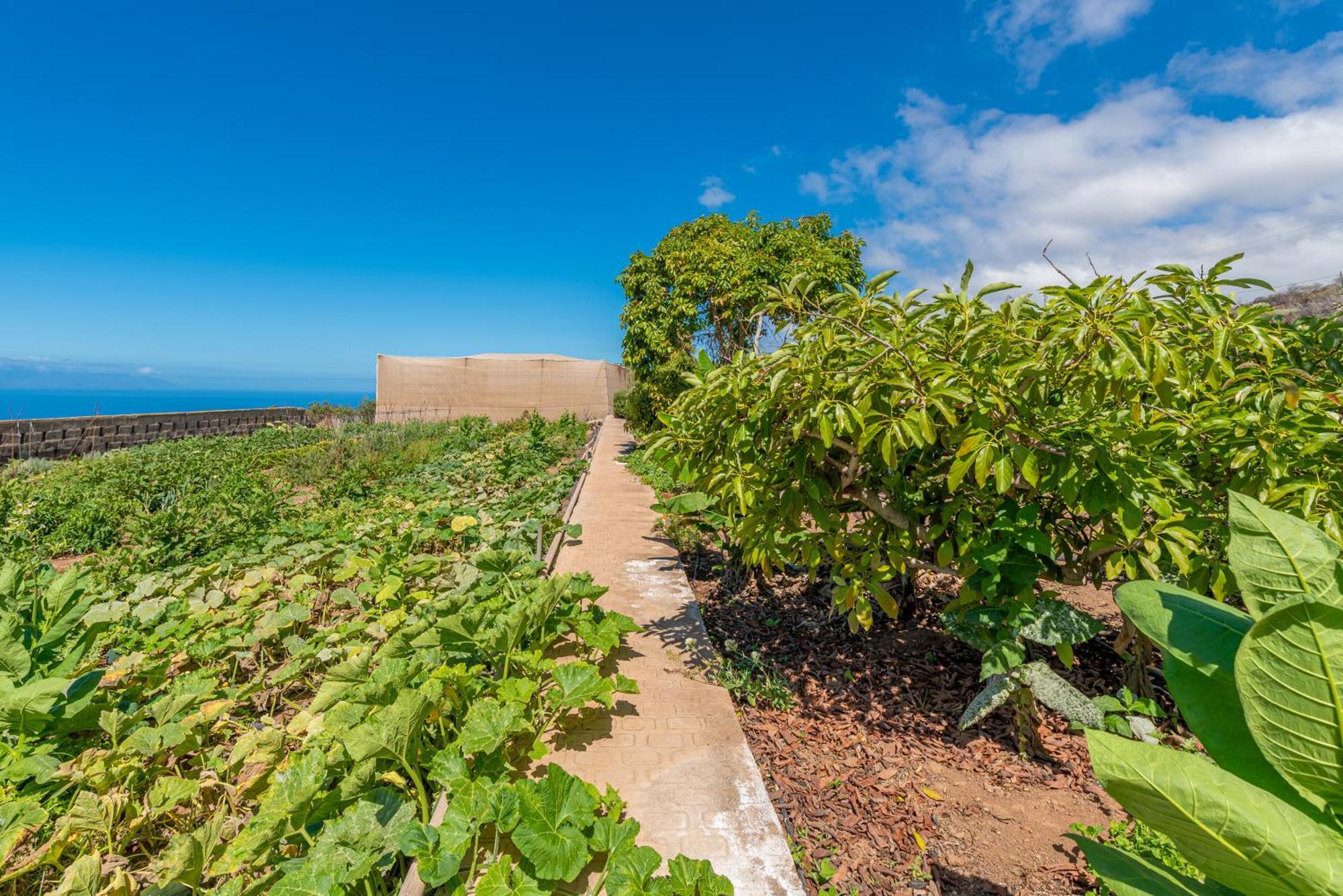Casa Rural Finca Las Dulces Chio  Ngoại thất bức ảnh